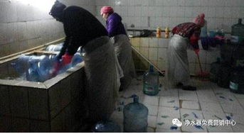 桶裝水內幕曝光 重復回收桶與一次性濾芯，哪個更安全？