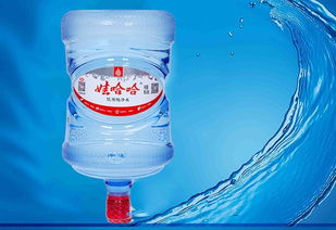 東西湖鑫城宜居桶裝水專業配送服務