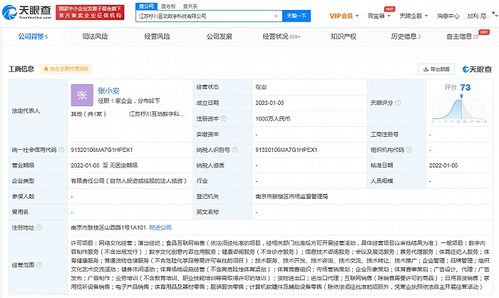 蘇寧布局?jǐn)?shù)字科技新賽道 成立科技公司，涉足演出經(jīng)紀(jì)與數(shù)字內(nèi)容服務(wù)